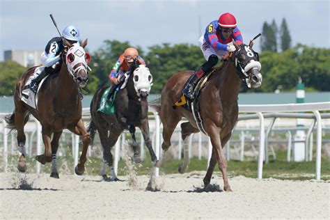 results gulfstream|course gulfstream résultat.